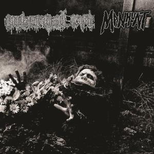 Album Split 7 (Explicit) from Internal Rot