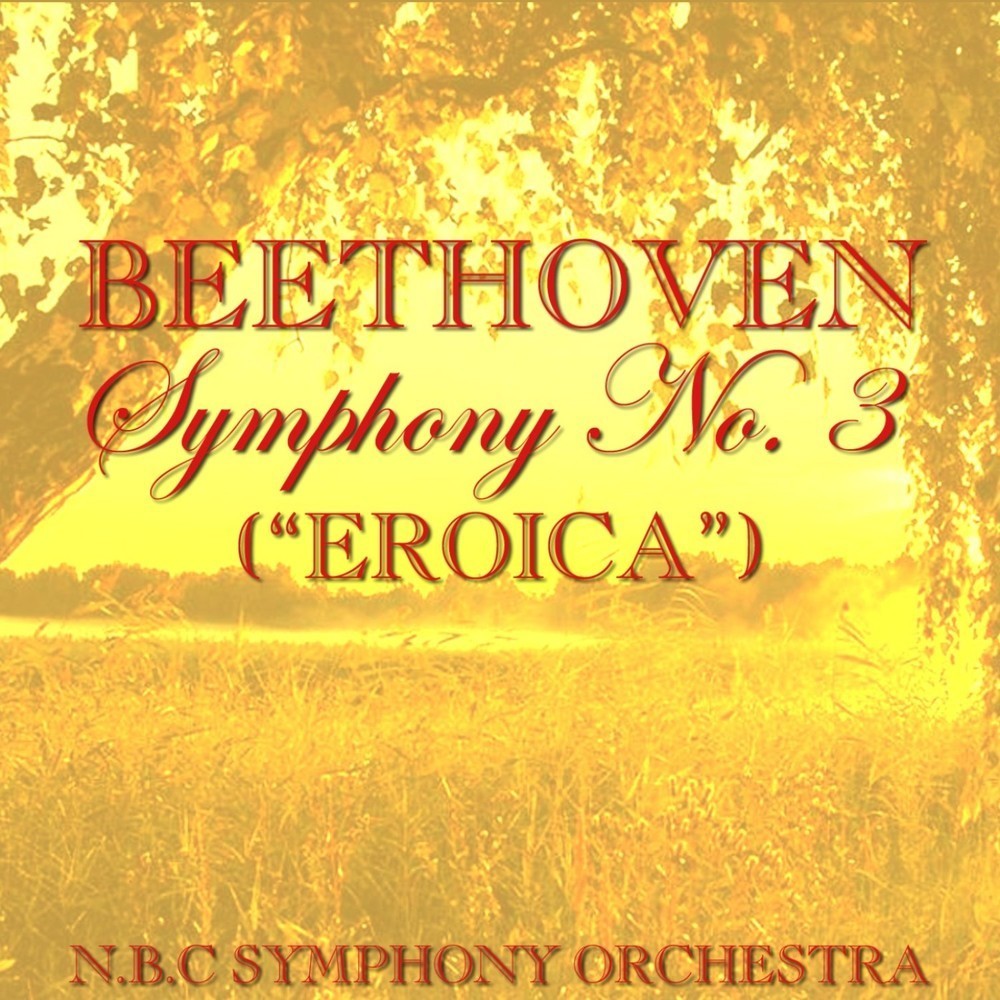Beethoven Symphony No.3 in E Flat, Op.55: II.Marcia Funebre