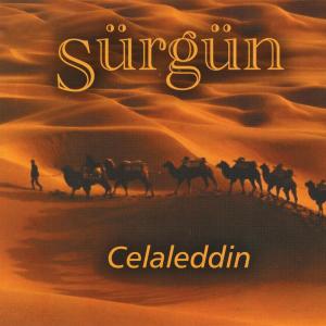 Dengarkan Ravzasına lagu dari Celaleddin Ada dengan lirik