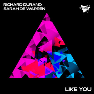 ดาวน์โหลดและฟังเพลง Like You พร้อมเนื้อเพลงจาก Richard durand