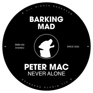 ดาวน์โหลดและฟังเพลง Never Alone (Original Mix) พร้อมเนื้อเพลงจาก Peter Mac