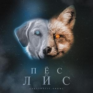 ดาวน์โหลดและฟังเพลง Пёс да лис พร้อมเนื้อเพลงจาก Anesthetic