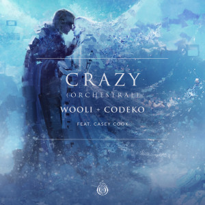 收聽Wooli的Crazy (feat. Casey Cook) (Orchestral)歌詞歌曲
