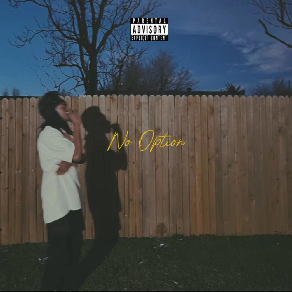 NO OPTION (Explicit)