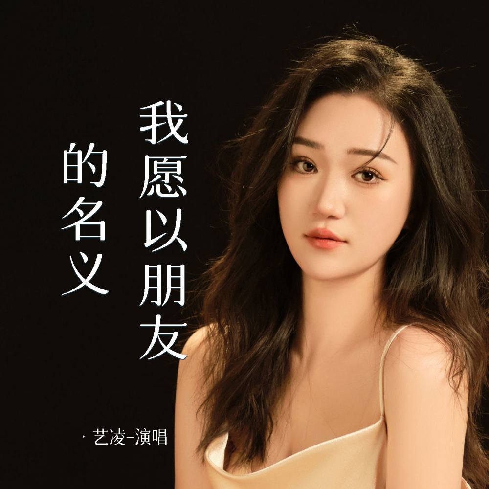 我愿以朋友的名义 (慢摇版)