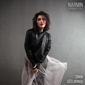Listen to Sənin Gözlərində song with lyrics from Narmin Karimbayova