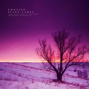 Various Artists的專輯Deep night with memories (New Age piano)