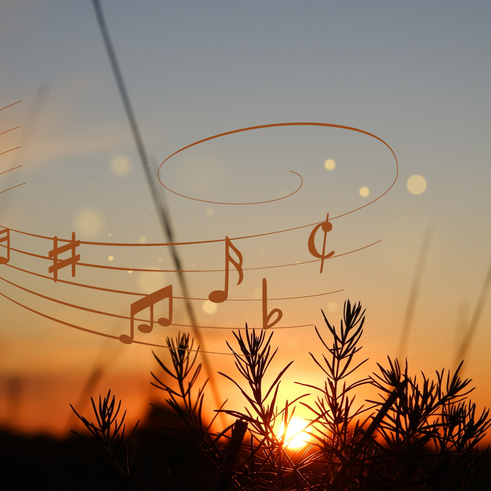 Music for Mindful Healing