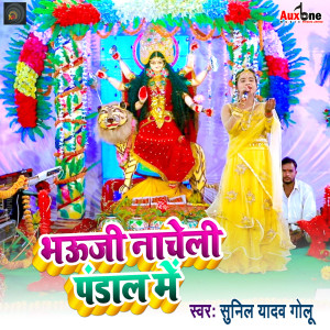 收听Sunil Yadav Golu的Bhuji Nacheli Pandalme歌词歌曲