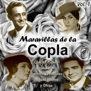 ดาวน์โหลดและฟังเพลง Una Cantaora พร้อมเนื้อเพลงจาก Imperio De Triana