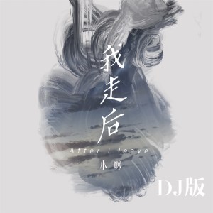 Listen to 我走后 (Dj版) (DJ版) song with lyrics from 小咪