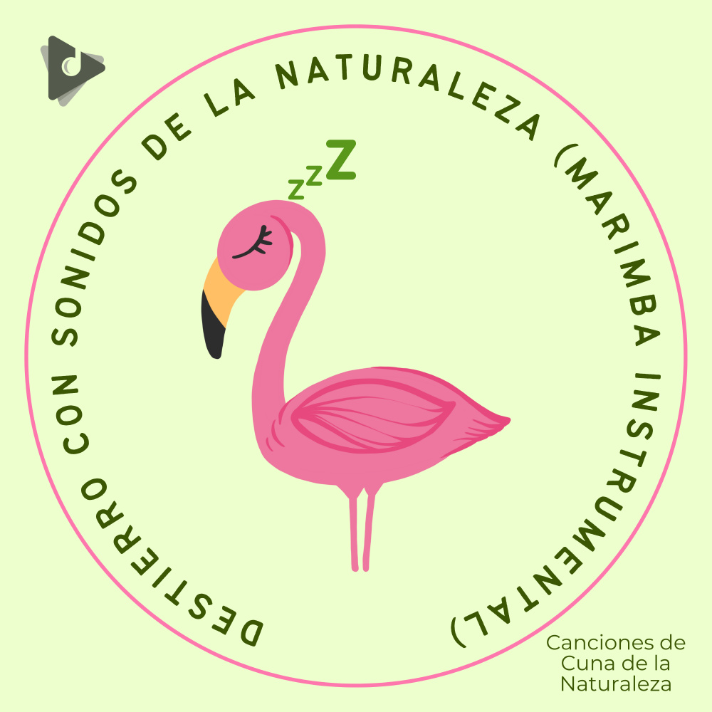 Destierro Con Sonidos De La Naturaleza (Marimba Instrumental)