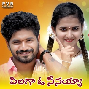 Listen to Pilaga O Seenaiah song with lyrics from Hanumanth Yadav
