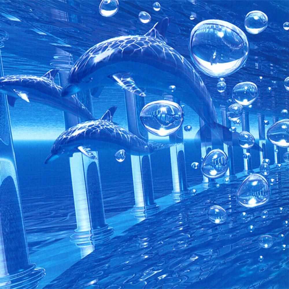 AQUATIC JOURNEY