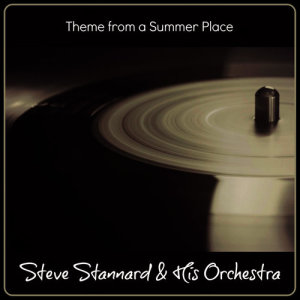 ดาวน์โหลดและฟังเพลง Theme from a Summer Place พร้อมเนื้อเพลงจาก Steve Stannard & His Orchestra
