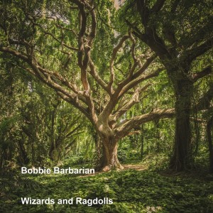 收听Bobbie Barbarian的Servant of Evil歌词歌曲