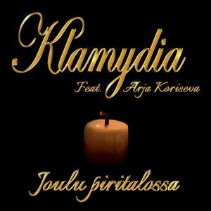 Album Joulu Piritalossa (Vain elämää kausi 11) from Klamydia