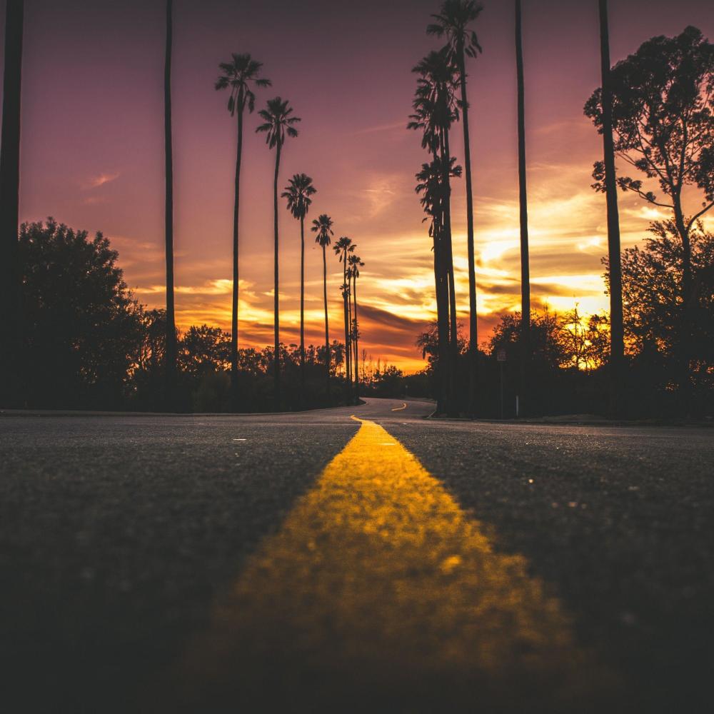 LORD WALKS