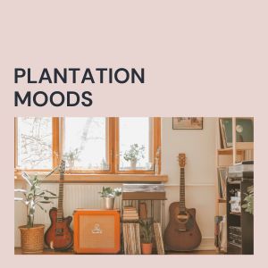 Album Plantation Moods (Explicit) from Various