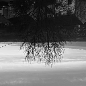 收聽The Virus and Antidote的GLOCK40 (Explicit)歌詞歌曲