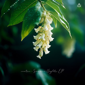 ดาวน์โหลดและฟังเพลง Sonic Bro พร้อมเนื้อเพลงจาก Centre