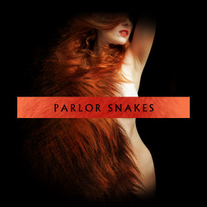 收听Parlor Snakes的Just Drive歌词歌曲
