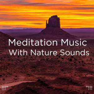 Dengarkan Morning Bird Song lagu dari Deep Sleep dengan lirik