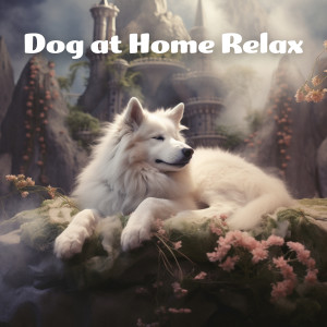Relax My Dog的專輯Dog at Home Relax