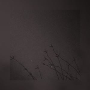 收聽Ishmael Berg的Wasted Love歌詞歌曲
