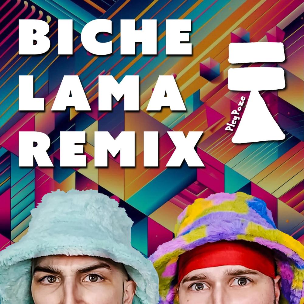 Biche Lama (feat. Nak & Alsenic) (Remix)
