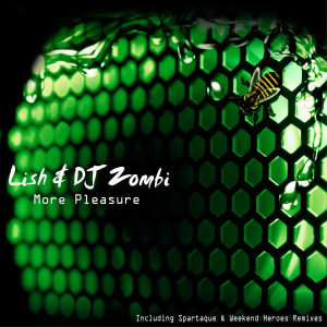 ดาวน์โหลดและฟังเพลง More Pleasure พร้อมเนื้อเพลงจาก Lish