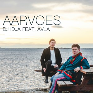 DJ iDJa的專輯Aarvoes