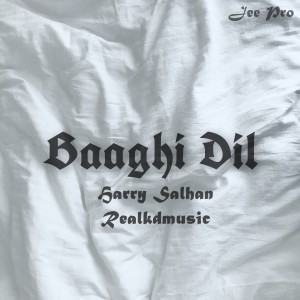 Listen to Baaghi Dil song with lyrics from Harry Salhan