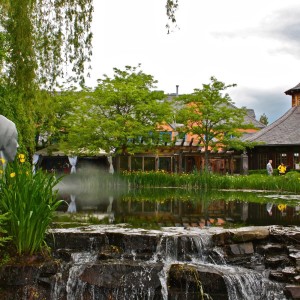 Listen to Zen song with lyrics from Chill Academy