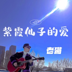 Album 紫霞仙子的爱 from 老猫