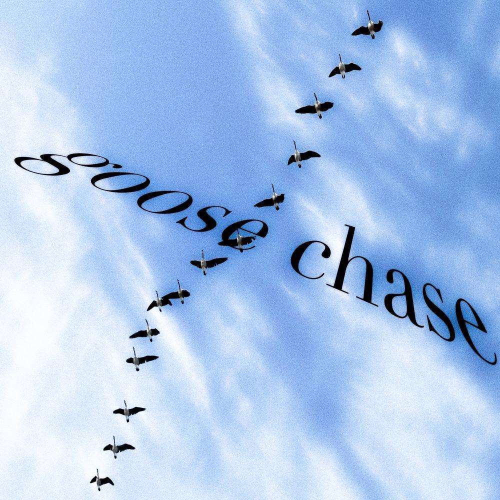 goose chase (Explicit)
