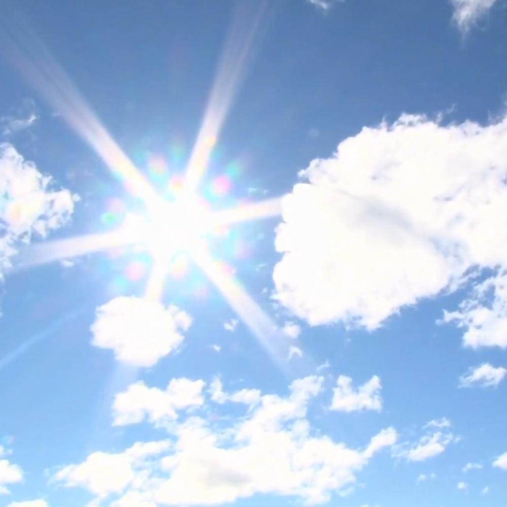 Sunshine High