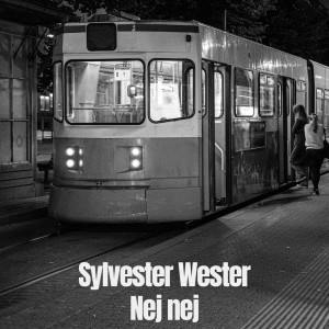Listen to Du som bedrar (Radio edit) song with lyrics from Sylvester Wester