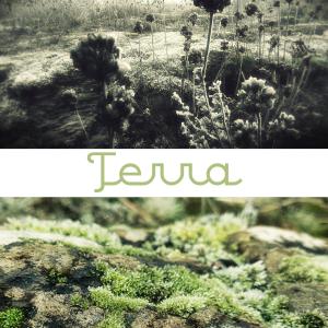 Terra (Single Edit)