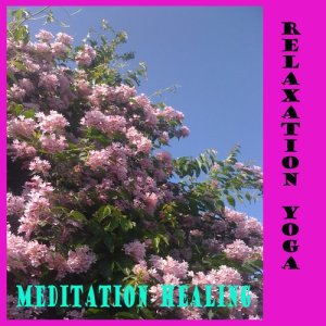 อัลบัม Relaxation yoga meditation healing therapy spa mantra ศิลปิน Relax yoga