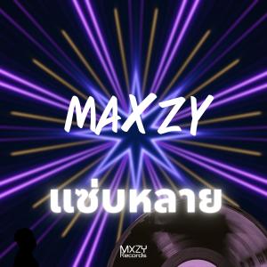 อัลบัม แซ่บหลาย ศิลปิน Maxzy