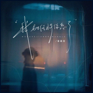 Album 我如何将你忘了 oleh 潘嘉丽