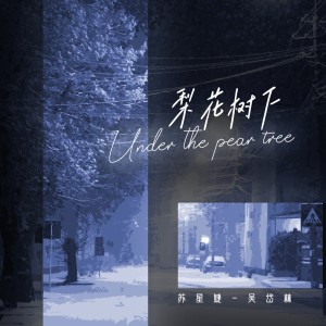 收聽蘇星婕的梨花樹下歌詞歌曲