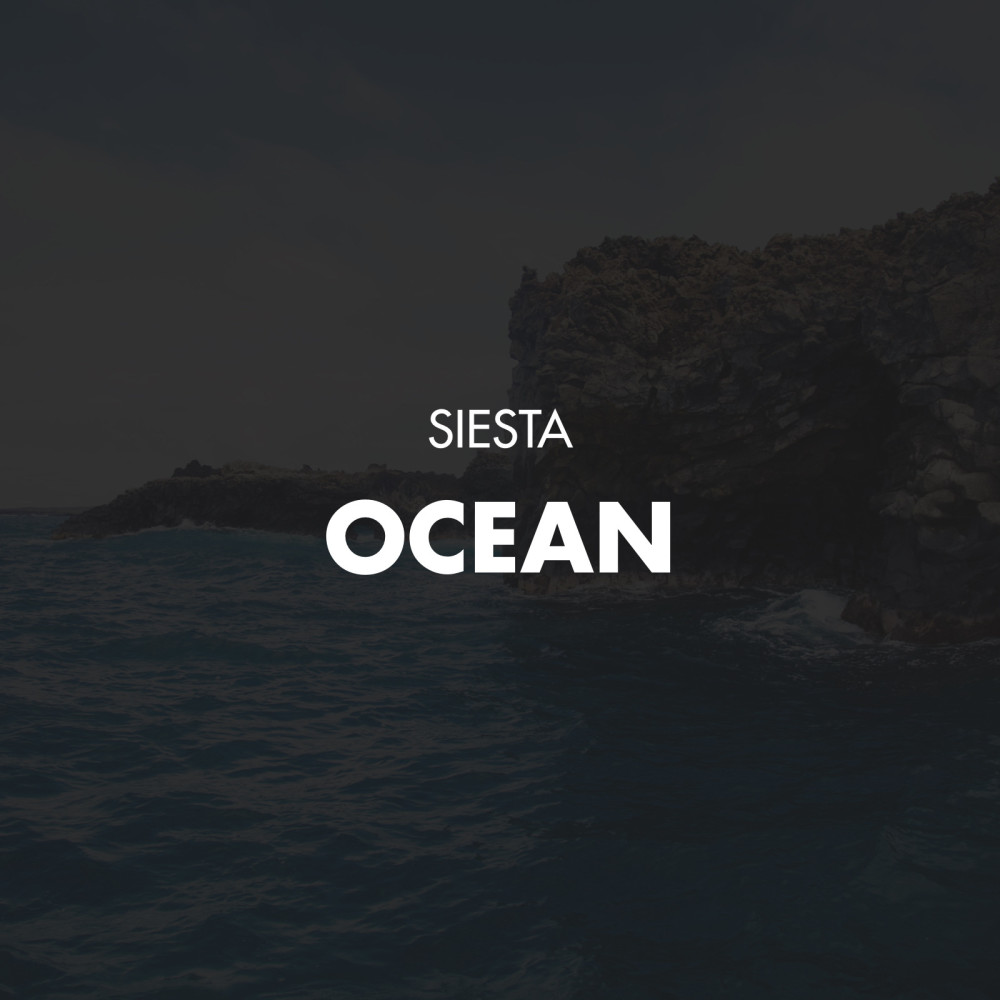 Ocean