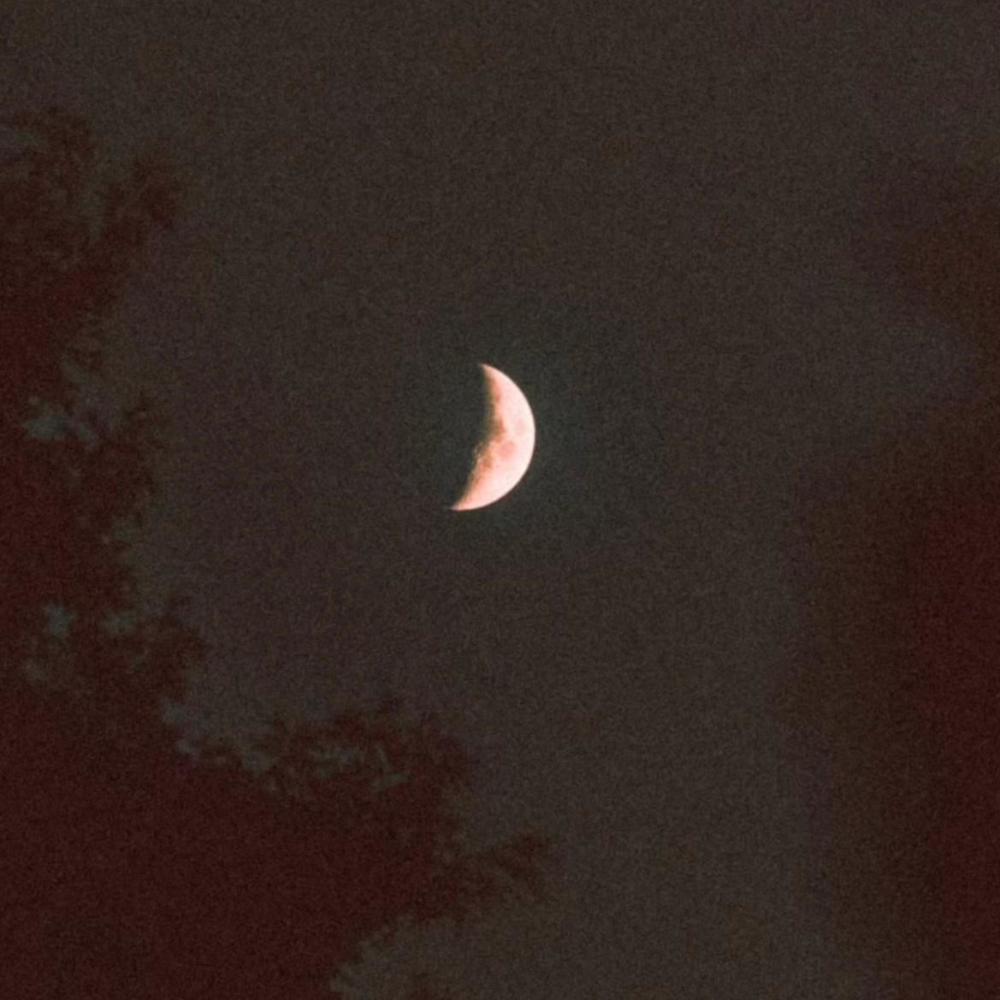 adventurer (Explicit)