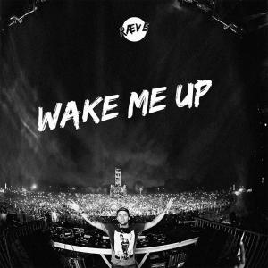 Listen to Wake Me Up song with lyrics from RÆVE