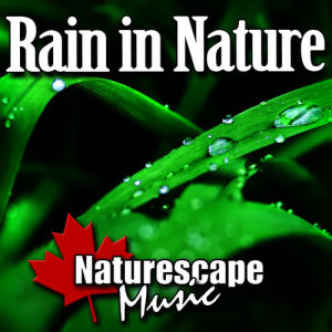 ดาวน์โหลดและฟังเพลง Finding a Way - Relaxing Shower of Rain พร้อมเนื้อเพลงจาก Naturescape Music