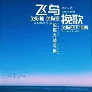 Dengarkan lagu 飞鸟挽歌（0.8） (Remix) nyanyian 芯晴音乐 dengan lirik