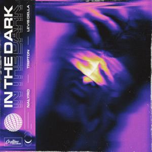 Album In The Dark oleh Tripton