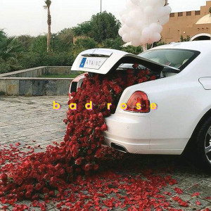 Listen to BAD ROSE song with lyrics from Ayainc